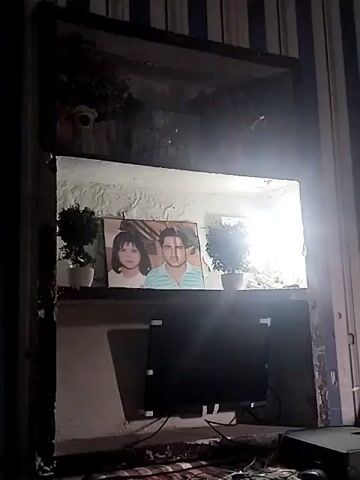 The video shows a tall, built-in wall shelf unit with three sections. The top section contains vases of flowers. The middle section has a picture of a girl and a man with two small potted plants on either side. A flat screen television is placed on the bottom shelf. The wallpaper is blue and white striped.