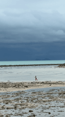 Ko Samui coastline: statues, shoreline, and a cafe stop