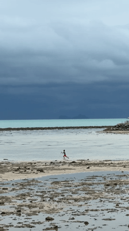 Ko Samui coastline: statues, shoreline, and a cafe stop