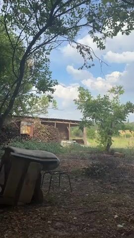 A video pans across a rustic outdoor scene. In the foreground, partially obscured by trees, are discarded objects including a large, light-colored object that appears to be a bathtub or trough, and a metal chair. Fallen leaves and debris cover the ground. To the left, a small building with a corrugated metal roof and wooden supports is visible, piled with what looks like stacked firewood or lumber. A small, leafy tree stands in the middle ground, with a few objects, possibly animals, lying near its base. Further back, a fence encloses a field with scattered trees and vegetation. The sky above is partly cloudy, with white clouds against a blue sky. A black hose runs along the ground towards the right side of the frame.