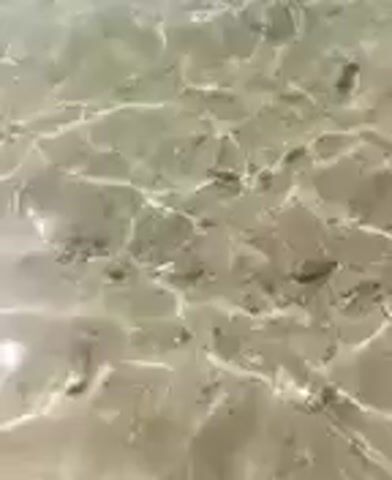 The video appears to be an aerial or high-angle shot of a body of water. The water is shallow and clear, with a sandy or rocky bottom visible beneath the surface. There are some ripples and waves on the water's surface, indicating movement. The overall color palette is muted, with greens, browns, and blues dominating the scene. There are no discernable people, animals, or man-made objects visible in the footage. The environment appears to be natural, possibly a beach or a shallow riverbed.
