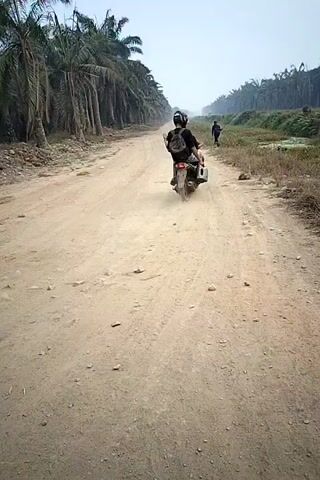 A dirt road stretches into the distance lined with palm trees on the left and vegetation on the right. Two people are visible on the road. The person closest to the camera is riding a motorcycle, kicking up dust as they move away from the viewer. Another person walks further down the road ahead of the motorcycle. The sky is overcast.