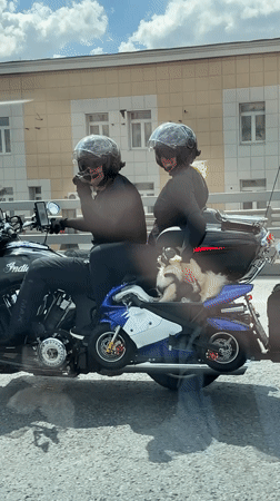 Couple spotted riding black motorcycle with blue sidecar
