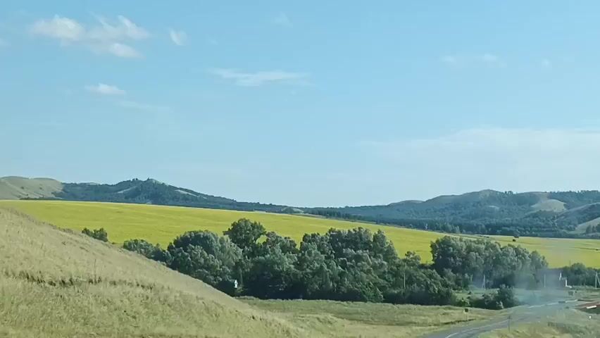 A wide shot captures a rural landscape under a bright blue sky with scattered clouds. In the foreground, grassy hills flank a winding asphalt road. In the midground, a vibrant yellow field, likely of sunflowers, stretches across the terrain, bordered by a dense cluster of green trees. Beyond the trees, several rolling hills covered in green vegetation rise against the horizon. A small red building and a possible gas station are visible near the road. A plume of white smoke drifts from the right side of the frame, obscuring some of the distant hills. The camera appears to be moving, suggesting the footage was taken from a vehicle.