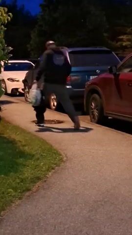 A man is walking away from the camera, carrying a black bag in his right hand. He is wearing a dark colored hoodie, dark pants, and a baseball cap. He has a light colored bag in his left hand. A small dog is walking next to him, on his right. The man and dog are walking on a paved pathway next to a grassy area. There are several cars parked on the right side of the pathway. The sky is dark blue, indicating it is nighttime or twilight. There are trees and bushes visible in the background and to the left of the frame.