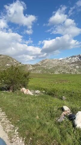 The video shows a green meadow with mountains in the background under a blue sky with white clouds. The camera pans across the landscape, revealing a dirt path on the left side of the frame and a small, bushy tree in the foreground.  The mountains in the background appear rocky and rugged, with some patches of snow visible on the higher peaks.  A few scattered rocks are visible in the foreground as well, some appearing to have been marked with red paint.  The overall impression is of a sunny, open, and mountainous landscape.