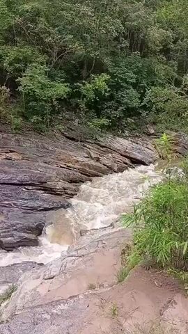 A fast-moving river flows through a rocky gorge. The water is cloudy and turbulent, indicating recent rainfall or heavy flow. The riverbanks are lined with lush green vegetation and trees. The rocks are layered and appear weathered, with some showing evidence of erosion. The overall scene suggests a natural and wild environment.