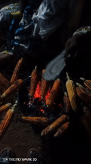 Evening street food vendors and shops documented across location