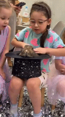 Magic show with animals and confetti entertains children in Russia