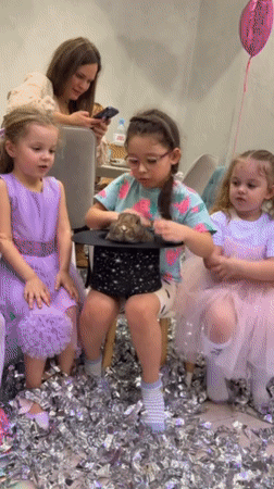 Magic show with animals and confetti entertains children in Russia