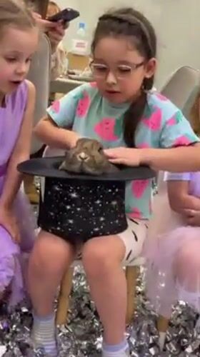 Magic show with animals and confetti entertains children in Russia