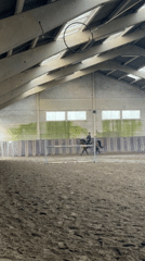 Horse rider trains in indoor arena in Estaimpuis