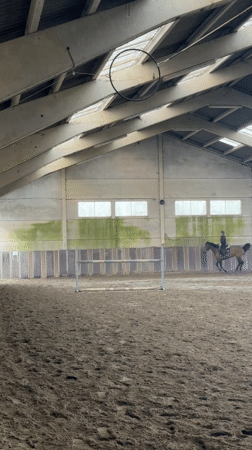 Horse rider trains in indoor arena in Estaimpuis