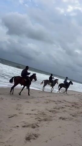 A video shows a beach scene with several people and horses. In the foreground, the sandy beach slopes towards the ocean. Waves are visible crashing on the shore. Three people are riding horses along the water's edge. Further down the beach, a makeshift Ferris wheel is set up, with several people riding in its gondolas, which appear to be made from wire cages. Some people are standing near the Ferris wheel, and others are walking or riding horses further in the background. The sky is overcast with dramatic clouds.