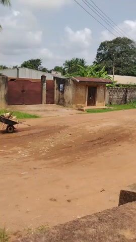 The video shows three children on a dirt road. Two of the children are pulling a wheelbarrow filled with some indistinguishable objects. The child pulling the wheelbarrow is wearing a red shirt and the other is wearing a white shirt. The third child is walking alongside them. The background shows houses, fences, trees, and a cloudy sky.