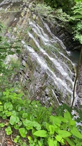 The video captures a multi-tiered waterfall cascading down a moss-covered rock face. The water flows in white ribbons, interspersed with darker rock and patches of green moss. The setting is a lush, natural environment, with vibrant green foliage framing the bottom of the shot. Sunlight filters through the leaves, suggesting it is daytime, possibly a bright but overcast day, as there are no harsh shadows. The overall mood is serene and natural, highlighting the beauty of the flowing water and the rugged texture of the rocks. The location is identified as Izmaylovka, Russia. No people, objects, or text are visible in the video.
