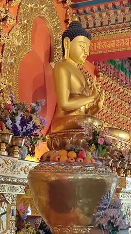 The video shows a golden statue of Buddha in a temple. The statue is adorned with flowers and fruits. The background is decorated with colorful fabric and smaller Buddha statues. The video is shot in a close-up view, focusing on the main Buddha statue. The lighting is bright and highlights the golden color of the statue.