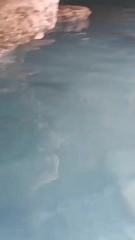 The video shows a natural pool with clear blue water. The pool is surrounded by rocky cliffs covered in lush green vegetation. A woman is seen swimming in the pool, and a man is also in the water. The water is calm and reflects the surrounding environment.