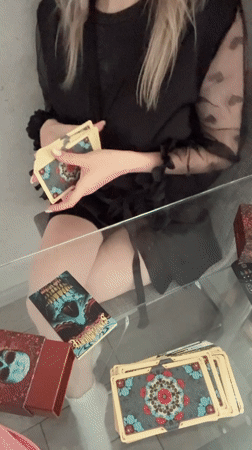 Quiet afternoon moments with tarot cards and playful pug