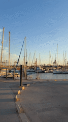 Valencia marina at golden hour, sailboats and paddleboarders on calm water