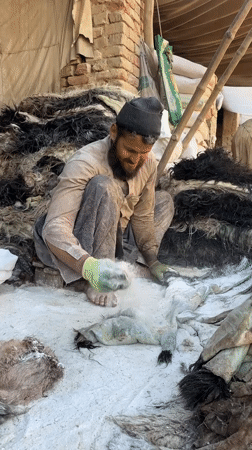 Traditional leather workers process animal hides in Quetta tannery
