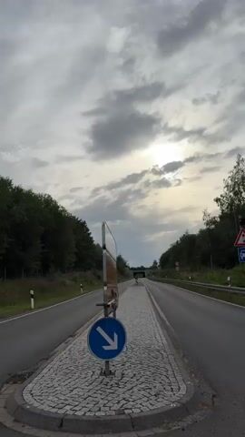 A vertical video begins with a view of a two-lane road curving to the left, bordered by trees on the left and a sidewalk made of cobblestones on the right. A cloudy sky with the sun peeking through is visible above. Road markers with black and white stripes are placed along the left side of the road. Further down the road, a tunnel can be seen. The camera pans to the right, showing a dense forest with various trees and foliage. The video continues to pan, offering glimpses of the trees and undergrowth on the right side of the road. There are no people or vehicles visible in the video. The environment appears to be a rural or semi-rural area with a road passing through a wooded landscape.
