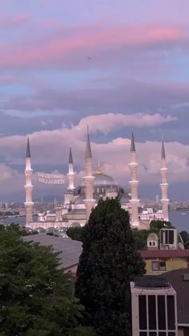 A vertical video captures a view of the Blue Mosque in Istanbul at dusk. The sky is filled with clouds tinged with pink and purple hues, and the mosque's minarets are illuminated. Text that appears to be Arabic calligraphy is projected onto the minarets. In the foreground, trees and the rooftops of buildings are visible. A bird flies across the sky in the upper left portion of the frame.