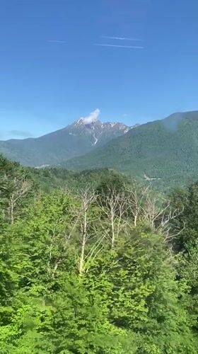 Cable car ride through green mountain slopes in Estosadok