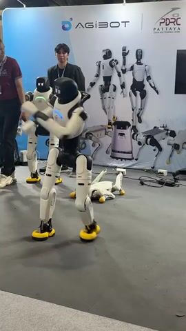 A man stands to the left of the frame wearing a red polo shirt and dark pants, with a lanyard around his neck. A young man in a black suit stands behind him. In the center of the frame, a white and black humanoid robot with yellow feet is performing a dance routine. Another identical robot stands behind it, and to the left, a third robot is visible. In the background, several other humanoid robots are displayed on a stage or platform. One robot in the background is lying on its side. A large banner with the word "AGIBOT" is visible on the wall behind the robots. The floor is a dark gray carpet.