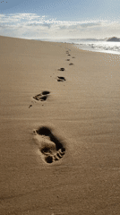 Footprints wash away on a sunny Mylestom Beach