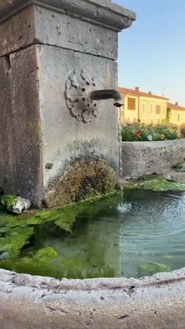 A close-up shot of water flowing from a faucet into a pool. The faucet is mounted on a stone structure adorned with a decorative carving. The water creates ripples as it hits the surface of the pool, which is filled with greenish water and algae. Bubbles rise from the pool's bottom, indicating aeration or movement from unseen sources. The background shows a building and some flowers, suggesting an outdoor setting. The video transitions to an underwater perspective, revealing the sandy bottom and lush green aquatic plants swaying in the water.