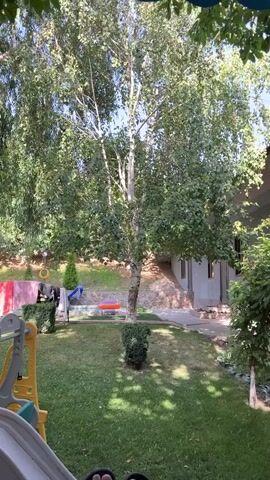A backyard scene unfolds with a prominent birch tree in the center, its leaves rustling slightly. Sunlight filters through the branches, casting dappled shadows on the well-maintained green grass below. To the left, a colorful children's slide with yellow and white plastic parts and a green slide bottom is partially visible in the foreground. In the background, a grey building with windows and a textured facade stands to the right. A stone walkway or patio leads to the building. Behind the birch tree, a small, neatly trimmed bush sits in the grass. Further in the background, there are glimpses of other foliage, including a darker green tree on the far right. Laundry is hanging on a clothesline to the left of the birch tree, adding a domestic touch to the scene. A bright orange object, possibly a small inflatable, rests on the grass near the laundry. The overall impression is one of a sunny, lived-in outdoor space, likely a backyard with children's play equipment and a residential building.