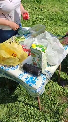 The video shows two women preparing food at a picnic table outdoors. The table is covered with a blue and white patterned tablecloth and holds several items, including bags of food, a carton of juice, a can of tomato sauce, and a black speaker. One woman is holding a red tomato, while the other is cutting a vegetable on a cutting board. The women are standing on a grassy lawn, with trees and a building visible in the background. A truck is parked in the background near a pile of blue tarps. The scene suggests a casual outdoor gathering.