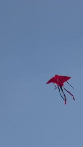 A low-angle shot shows a red kite flying in a clear, blue sky. The kite has a triangular shape with long, colorful tails trailing behind it. The camera remains stationary.
