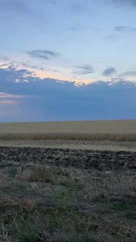 The video captures a wide-angle, panning view of a rural landscape at dusk. The sky is a gradient of blue and gray, with streaks of pale orange near the horizon, indicative of sunset. Scattered white and blue clouds drift across the upper half of the frame. Below the sky lies a vast, flat field of golden wheat, which appears to have been recently harvested, with rows of cut stalks visible. In the foreground, a strip of dark, tilled earth with visible clods of soil transitions into a dry, grassy embankment. Sparse tufts of grass and a few small, green bushes are scattered across the embankment. The overall impression is one of a serene, agricultural setting at the end of the day. No people or distinct objects are visible beyond the natural elements of the landscape.