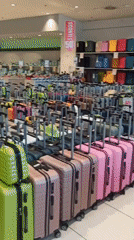 Browsing shoes, bags, and luggage at a Bari retail store