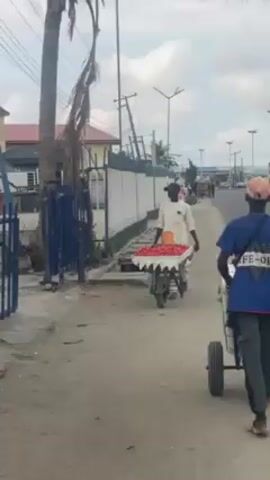 The video shows two men on a sidewalk, each pushing a handcart. The first man wears a light-colored long-sleeved shirt and a black cap. His cart is filled with red round objects, possibly tomatoes. The second man wears a blue t-shirt and an orange cap. He pushes an empty cart. They are walking along a street lined with buildings and palm trees. There are streetlights visible, and a road with cars can be seen in the distance.
