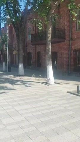 The video begins showing a sidewalk with brick buildings and trees. The camera pans to the right, revealing more of the brick buildings, some with windows and balconies. As the video continues, the scene shifts to a street with cars and traffic lights. The camera pans to the left, showing a street corner with a pedestrian crossing signal and a traffic light. Cars are seen driving on the road. The video ends with a view of the street and sidewalk.