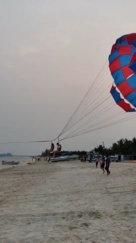 The video shows two people parasailing on a beach. They are suspended in the air by a large, colorful parachute with red, white, and blue panels.  The beach is sandy and there are other people walking around. Several boats are docked nearby. In the background, there is water and a few small islands can be seen. The sky is overcast. A woman in the foreground is walking and holding a mobile phone, possibly taking a picture of the parasailers.