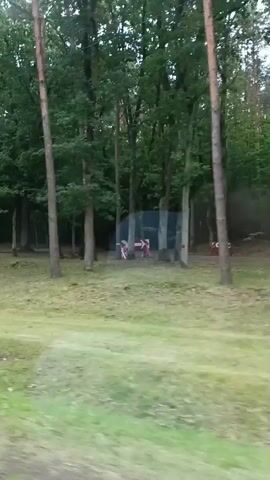 The video captures a panning view of a wooded area with a grass-covered ground. In the background, several tall trees dominate the scene. To the left, a wooden building with a sloped roof is visible, partially obscured by trees. Adjacent to the building, a blue tent is set up. In the center of the frame, a traditional wooden windmill with four large blades stands prominently. The windmill is a light brown color and appears to be situated on a slight incline. The scene is consistent with an outdoor setting, possibly a park or historical site.