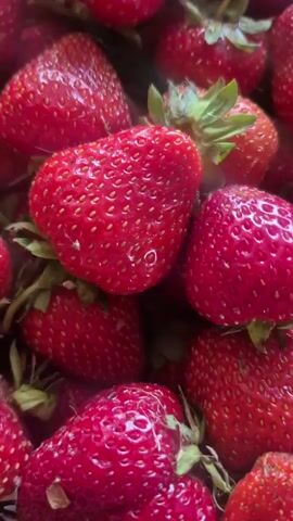 The video shows a close-up of a pile of fresh strawberries. A hand with fingers is seen picking up one strawberry, examining it, and then holding it up to the camera. The background remains a blur of more strawberries.
