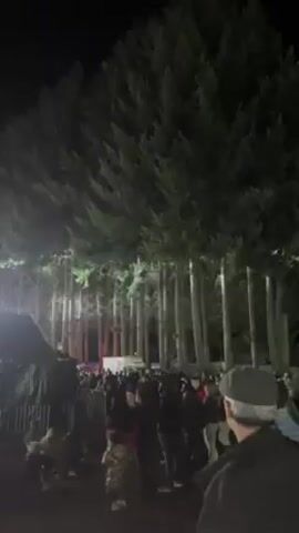 A crowd is gathered in front of a stage at night with very tall trees towering behind the audience and the stage. The stage is lit with bright lights and what appear to be LED screens. There are people on the stage, presumably performers, although it is difficult to make out who they are. The camera pans up and slightly left to show the stage better before ending.