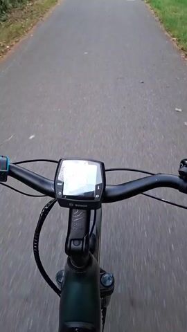 The video begins with a first-person perspective of someone riding an e-bike on a paved path. The handlebars and digital display of the bike are visible, showing a speed of 12 km/h. The path is lined with trees and grass on both sides. As the ride continues, the speed increases to 19 km/h, and the rider passes by two people walking on the path ahead. The path is decorated with painted symbols, including hearts and stars. The video ends with a shot of the path continuing into the distance, surrounded by trees.