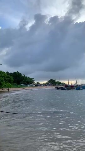 This is a vertical video taken from the perspective of someone standing at the edge of the water looking out at a body of water. The sky is overcast with large, dark gray clouds. The water is calm and appears choppy with small waves. There is a sandy shore to the left with some greenery and trees behind it. Several boats are visible in the water. Closer to shore, there are smaller boats, and further out, larger fishing boats with masts and rigging are anchored or moored. The scene appears to be a harbor or a bay. The lighting suggests it might be dawn or dusk, or simply a very cloudy day. No people are clearly visible in the video.