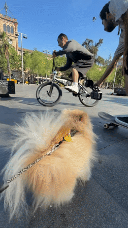 BMX rider performs ledge trick in Barcelona