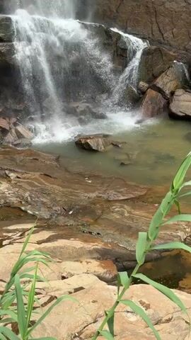 A wide, cascading waterfall crashes into a pool surrounded by wet, reddish-brown rocks. Some blades of green grass are visible in the foreground. The water runs down a tall, rocky cliff face, and the camera pans upward to follow the flow.