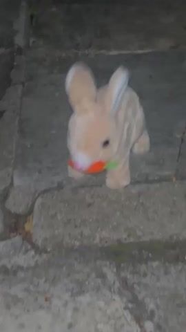 A close-up shot shows a toy rabbit standing on a concrete surface with cracks. The rabbit, colored in beige with white inner ears and a pink nose, holds a toy carrot in its mouth. The camera angle is slightly elevated, capturing the rabbit from the front. The background is blurred due to the close proximity of the shot. The lighting appears dim, suggesting an indoor or nighttime setting. The rabbit's posture and carrot suggest a playful or whimsical scene.