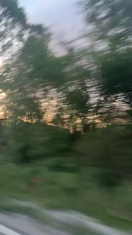 The blurry video shows trees and vegetation rushing past, as seen from a moving vehicle. There's also a glimpse of the sky with a mix of blue and sunset colors. There are also traffic signs seen briefly, though they are blurred.