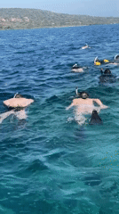 Snorkelers and boaters spotted in waters near Gerokgak, Indonesia