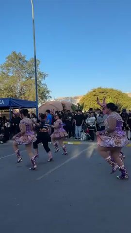 A group of women in ornate purple and gold costumes with matching headdresses and boots are dancing in unison on a paved road. They are facing away from the camera, with their backs to a blue tent displaying "UNIVERSIDAD DE TARAPACA" in white lettering. A man in a black shirt and pants is dancing amongst them. Behind the tent, a crowd of spectators are gathered, some seated and others standing. Trees and buildings are visible in the background under a clear blue sky.